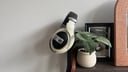 Sennheiser HD 599 headphones on shelf